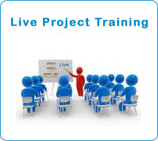 live project traning