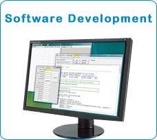 software development
